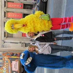 Big Bird and Cookie Monster!!