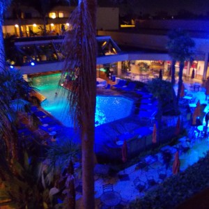The beautiful view of the Marriott Anaheim pool!