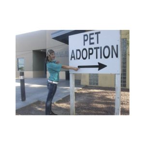 National American Miss Nevada Teen Contestant Jolene Rizzo Volunteers at Lied's Animal Shelter